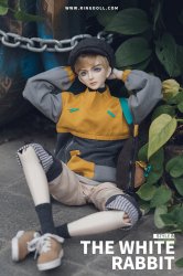 Rc60-102 - The White Rabbit-style B Cloth Rc60-102 - The White Rabbit-style B Cloth