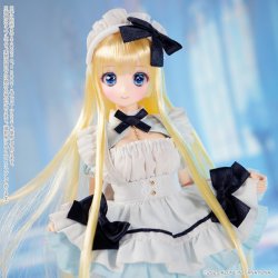 POD051-HVA からふるDreamin’/葉鳥 ここね in Wonderland ver.1.2 POD051-HVA からふるDreamin’/葉鳥 ここね in Wonderland ver.1.2