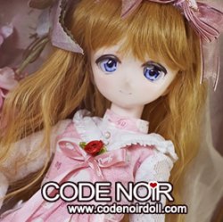 CMD000265 Pink Sheila CMD000265 Pink Sheila