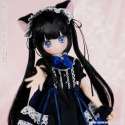 POD056-MGK からふるDreamin’/めばえ ~A Gift from M.K.~(黒猫ver.) POD056-MGK からふるDreamin’/めばえ ~A Gift from M.K.~(黒猫ver.)