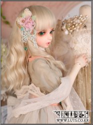 FLORA FLORA