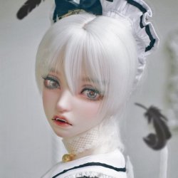 Damion - Iris Ver. Damion - Iris Ver.