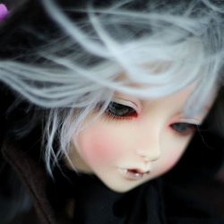 FOC Vampire Goldie FOC Vampire Goldie