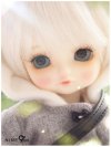 Petit nine16 (16cm) Petit nine16 (16cm)