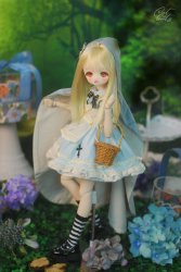 MDD-15 SET Alice MDD-15 SET Alice