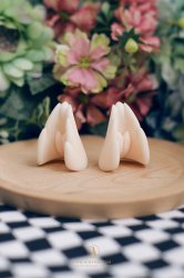 Foxy Ears Foxy Ears