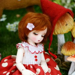 Dorothy Dorothy