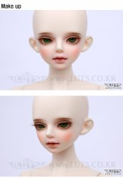 TERRA Ver.65 TERRA Ver.65