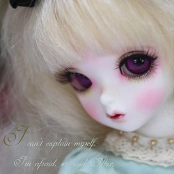 FOF Lady Alice FOF Lady Alice