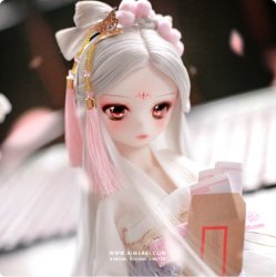 Lyun - My Girls Series Lyun - My Girls Series